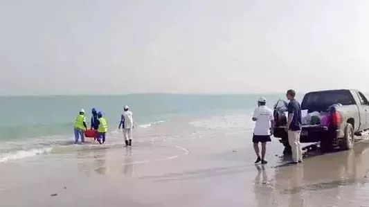 首页- 人生就是博中国官方网站