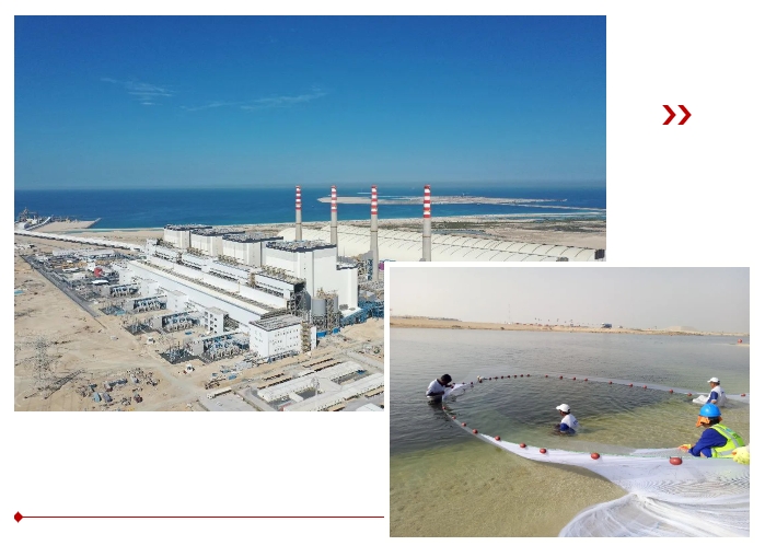 首页- 人生就是博中国官方网站