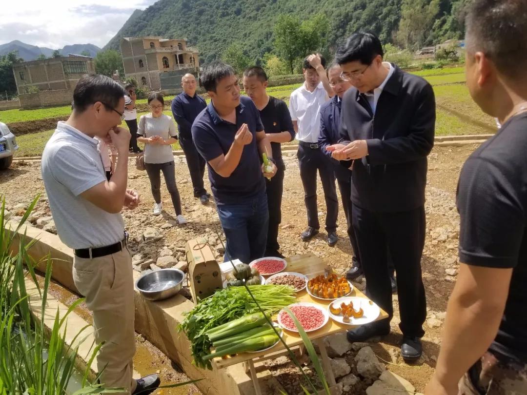 首页- 人生就是博中国官方网站