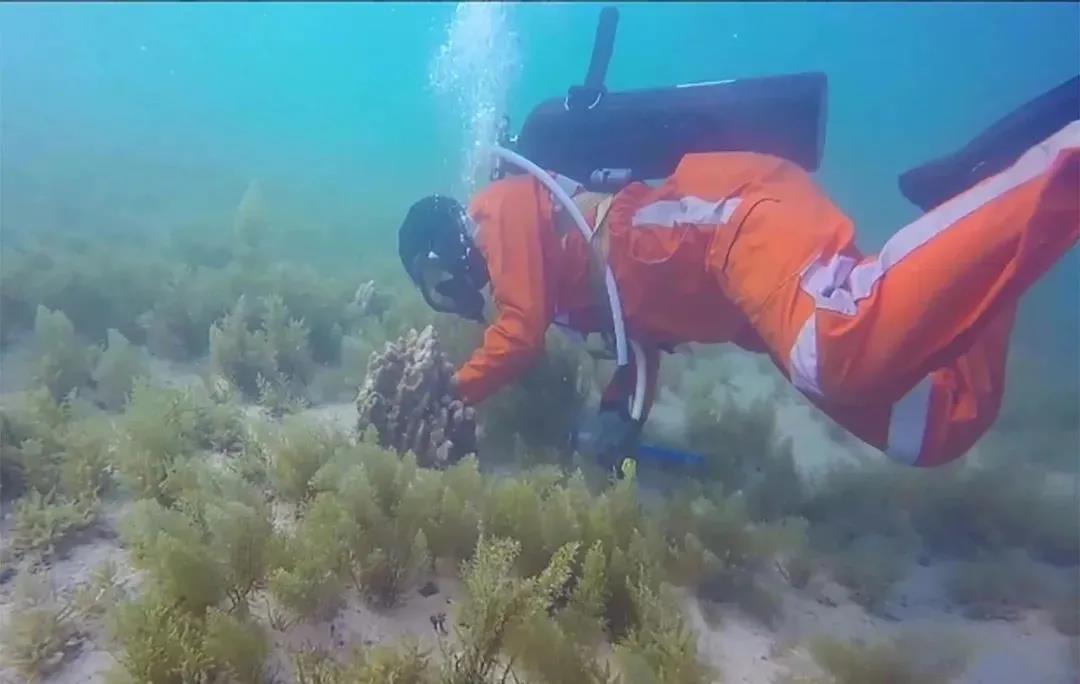 首页- 人生就是博中国官方网站